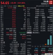长鑫科技，盘中暴涨530%