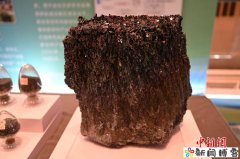 甘肃武威政企同心共拓丝路合作新赛道
